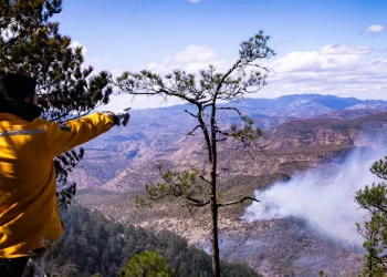 Participan 124 brigadistas en combate de incendios forestales en el municipio de Madera