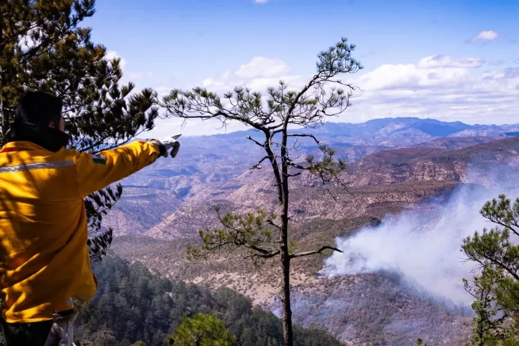 Participan 124 brigadistas en combate de incendios forestales en el municipio de Madera