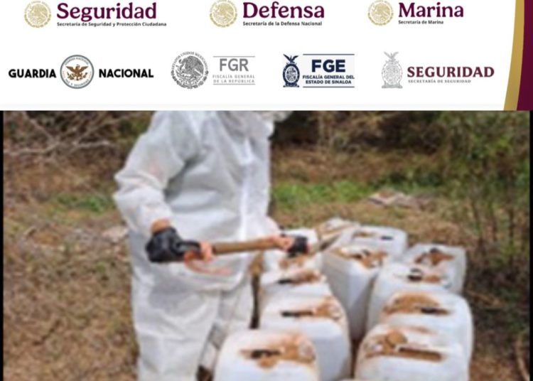 En municipios de Culiacán, Elota y Cosalá, Grupo Interinstitucional asegura 10 laboratorios clandestinos