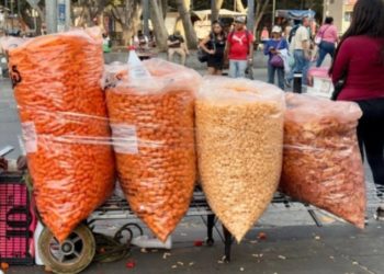 SEP impulsa lineamientos para fomentar alimentación sana en escuelas del país