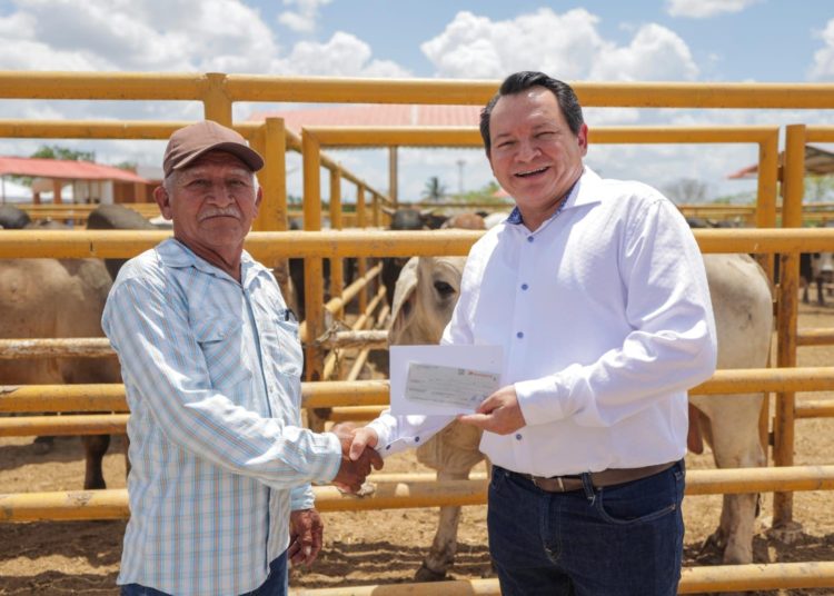 Impulsa Gobernador Joaquín Díaz Mena el renacer de la ganadería yucateca