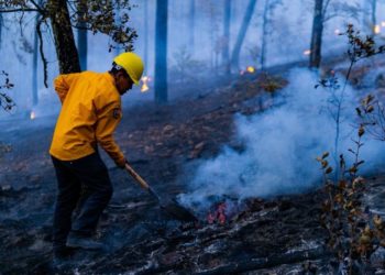 Combaten 262 brigadistas los 13 incendios forestales activos en 9 municipios de Chihuahua