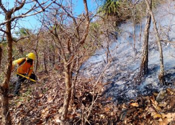 Atiende Gobierno de Oaxaca incendio intermunicipal en la Mixteca