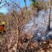 Atiende Gobierno de Oaxaca incendio intermunicipal en la Mixteca