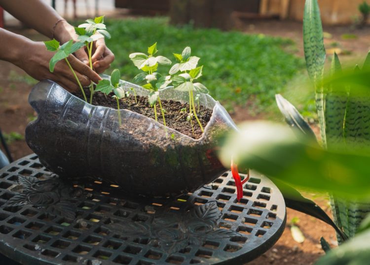 ANIPAC promueve el valor del plástico y sus aportes a la sostenibilidad
