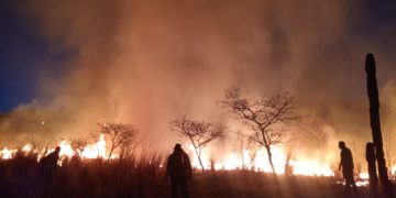 Bomberos de Nayarit previenen propagación de incendio en Ixtlán del Río