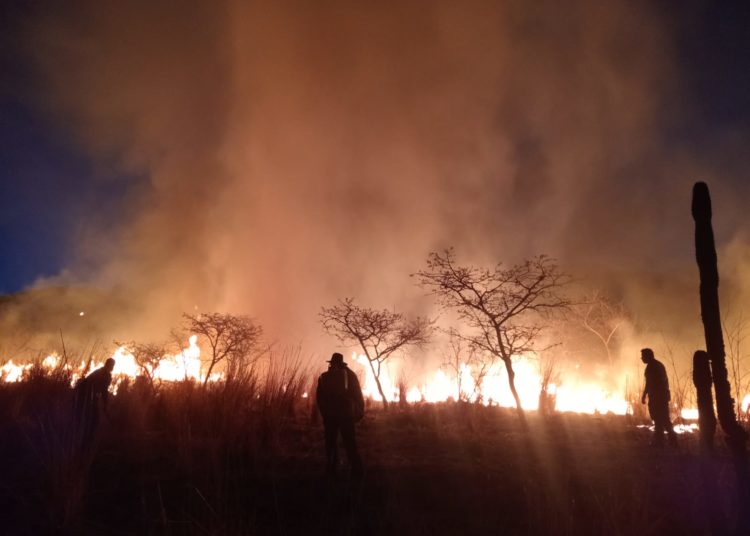Bomberos de Nayarit previenen propagación de incendio en Ixtlán del Río