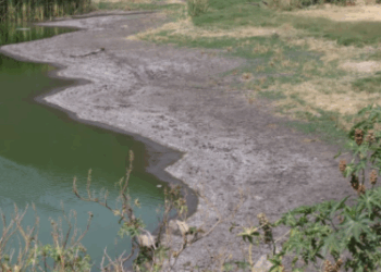 Por sequía, municipio de Querétaro implementa Protocolo de Seguridad Hídrica