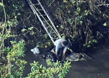 Mueren 5 personas al volcar auto atrás de FES Cuautitlán