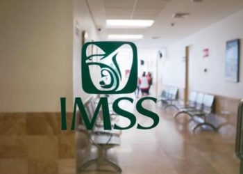 Mega compra de cartuchos de tóner en IMSS Veracruz desata acusaciones de favoritismo y sobreprecio