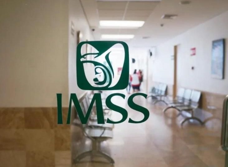 Mega compra de cartuchos de tóner en IMSS Veracruz desata acusaciones de favoritismo y sobreprecio
