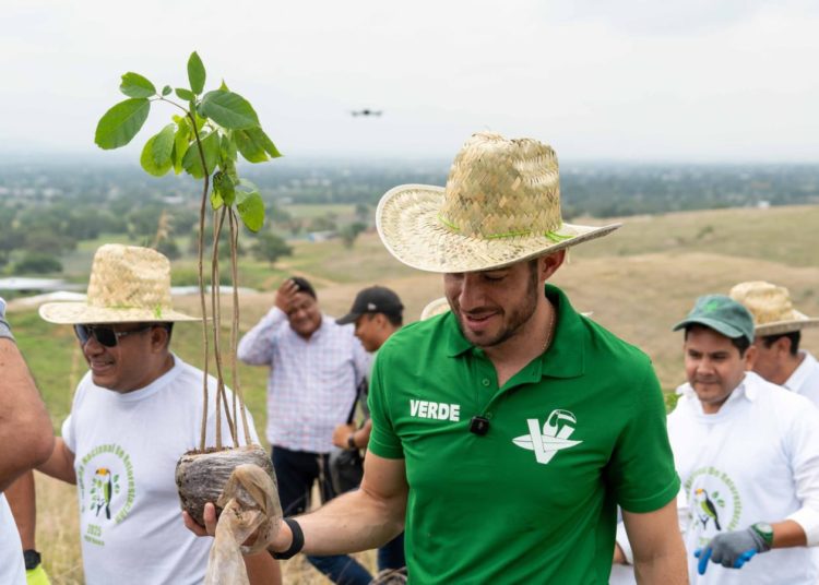 Pepe Couttolenc arranca jornada de reforestación nacional