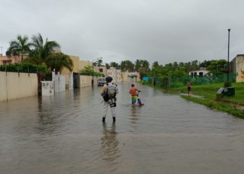 Suman 42 municipios con suspensión de clases en municipios de Veracruz por efectos de Erick