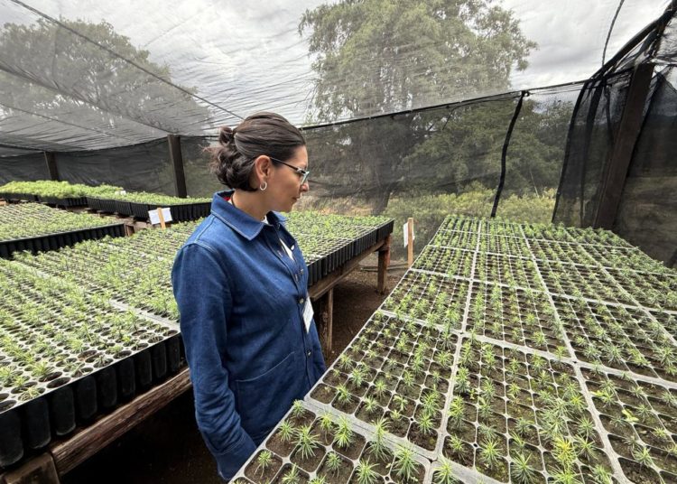 Fundación FEMSA fortalece su compromiso con Agua Capital para garantizar el agua en la Ciudad de México