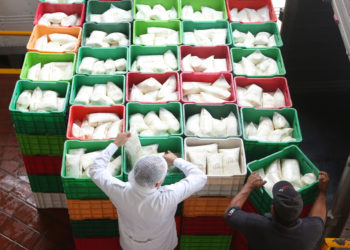 Impulsa gobierno consumo de leche, esencial para el crecimiento, el desarrollo y la salud de la población