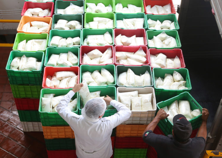 Impulsa gobierno consumo de leche, esencial para el crecimiento, el desarrollo y la salud de la población