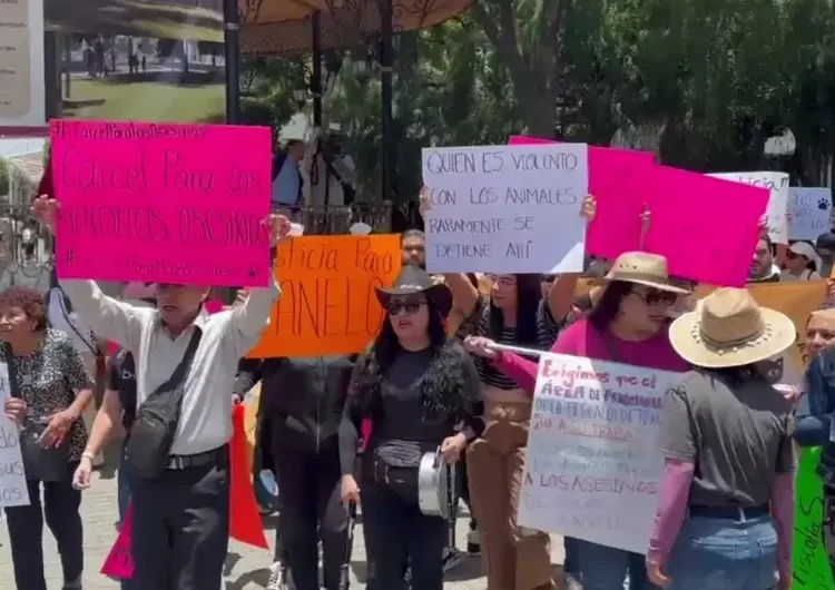 Fiscalía deja en libertad a pareja que ahorcó brutalmente a perros en Texcoco