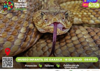Ciudad de Oaxaca y municipio de San Pedro Pochutla, sedes del Festival Mexicano de las Serpientes