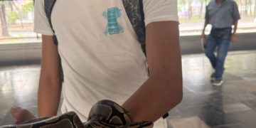 Ingresa con su mascota al Metro capitalino y acaba detenido; era una serpiente