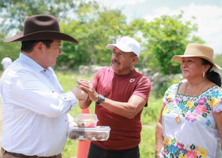 Sistemas de riego solar fortalecen producción agrícola en Motul