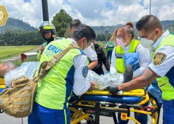 Paramédico es mordido por víbora de cascabel durante jornada de búsqueda de Ana Amelí