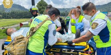 Paramédico es mordido por víbora de cascabel durante jornada de búsqueda de Ana Amelí