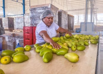 Actividades primarias lideran el crecimiento económico en mayo 2025
