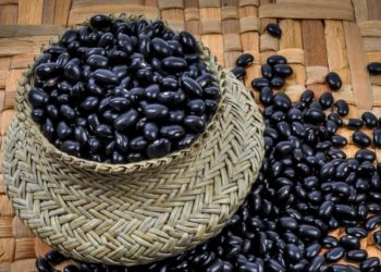 Leguminosas, aliadas de la sana alimentación y la agricultura sustentable