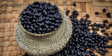 Leguminosas, aliadas de la sana alimentación y la agricultura sustentable