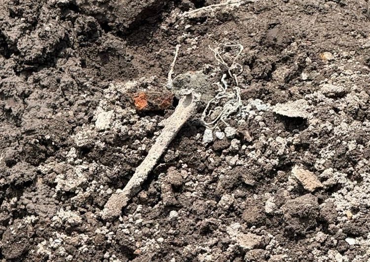 Colocan sellos de suspensión a construcción en Reforma donde hallaron restos óseos