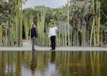 Jardín Etnobiológico de Oaxaca: un puente vivo entre la naturaleza y la cultura