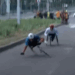 Bache arruina carrera a competidores líderes en silla de ruedas del Maratón CDMX 2025