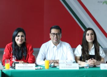 Senador Néstor Camarillo renuncia al PRI; partido pierde vicepresidencia en la Mesa Directiva del Senado