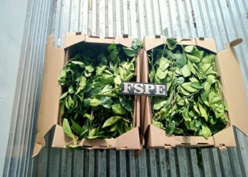 Recupera Secretaría de Seguridad y Paz camión refrigerado con 2 mil 700 productos agrícolas en el municipio de Ocampo