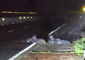 Dejan restos humanos en la Autopista del Sol