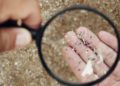 El manejo adecuado de residuos plásticos, esencial para frenar la creación de microplásticos, advierte ANIPAC