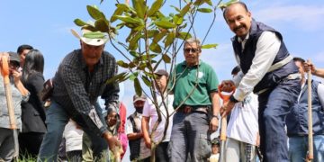 Gobierno de Pedro Rodríguez impulsa campaña de reforestación con la plantación de 10,000 árboles