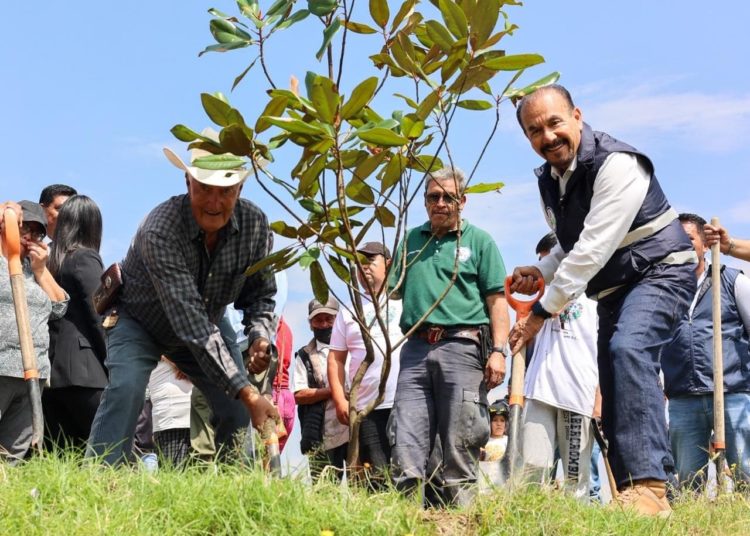 Gobierno de Pedro Rodríguez impulsa campaña de reforestación con la plantación de 10,000 árboles