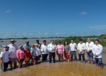 Yucatán lanza estrategia integral para restaurar ecosistemas costeros