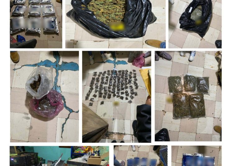 SSC y FGJ decomisan droga y rescatan animales durante operativo en GAM