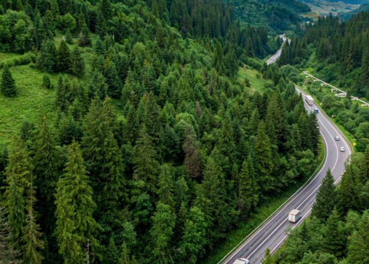 TRAXION aplica el marco TNFD en medio del esfuerzo mundial por unificar reportes ambientales