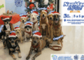 Invita Municipio de Chihuahua a vivir una “Navidad de Pelos” y brindar un hogar a perritos rescatados