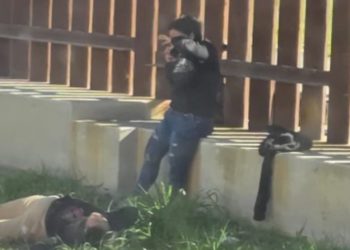 Confirma subsecretaría de Migración que mujeres que cayeron de muro fronterizo no son de Oaxaca