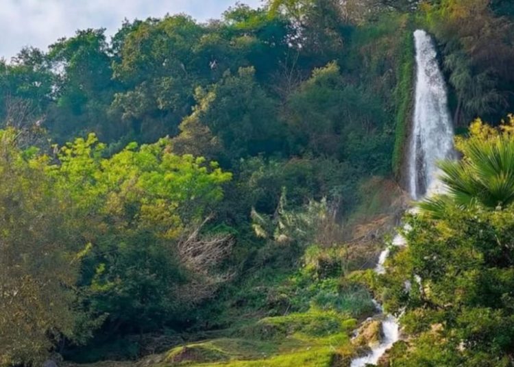 Crecerá afluencia y derrama con la Virgen de la Misericordia en el municipio de Hidalgo