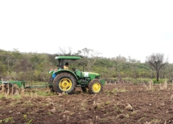 Ayuntamiento de Coatzacoalcos impulsa producción de maíz con apoyo estatal