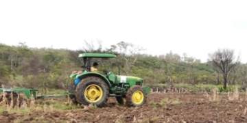 Ayuntamiento de Coatzacoalcos impulsa producción de maíz con apoyo estatal