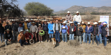 Acude Gaspar Trueba a la Jornada de Vacunación de Ganado Bovino en El Zamorano