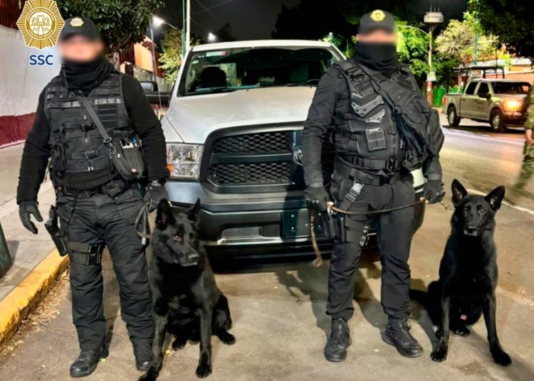 Rescate de perros y aseguramiento de droga y armas tras cateo en Xochimilco