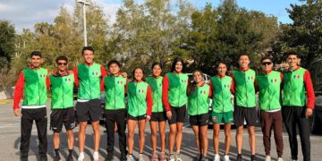 Urge detener cierre de empresas y frenar la informalidad: Senadores del PRI