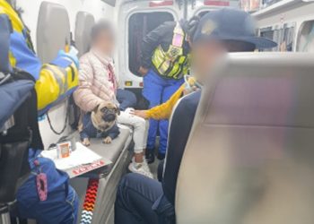 SSC atiende a familia y mascotas intoxicadas por fuga de gas en Cuauhtémoc